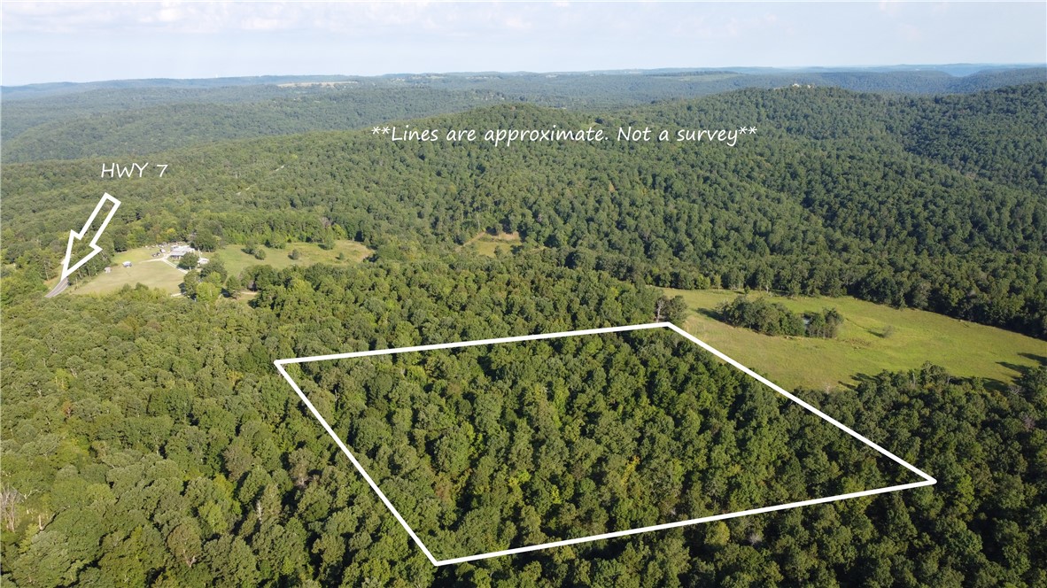 Escape to the wild with this 10-acre gem that directly borders the National Forest, offering unmatched access to some of the best hunting in the region. Whether youāre chasing deer, turkey, bear, or hogs, this property is a hunterās dream come true.