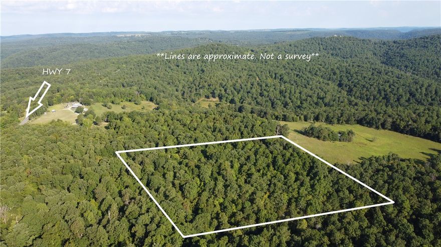 Escape to the wild with this 10-acre gem that directly borders the National Forest, offering unmatched access to some of the best hunting in the region. Whether you’re chasing deer, turkey, bear, or hogs, this property is a hunter’s dream come true.