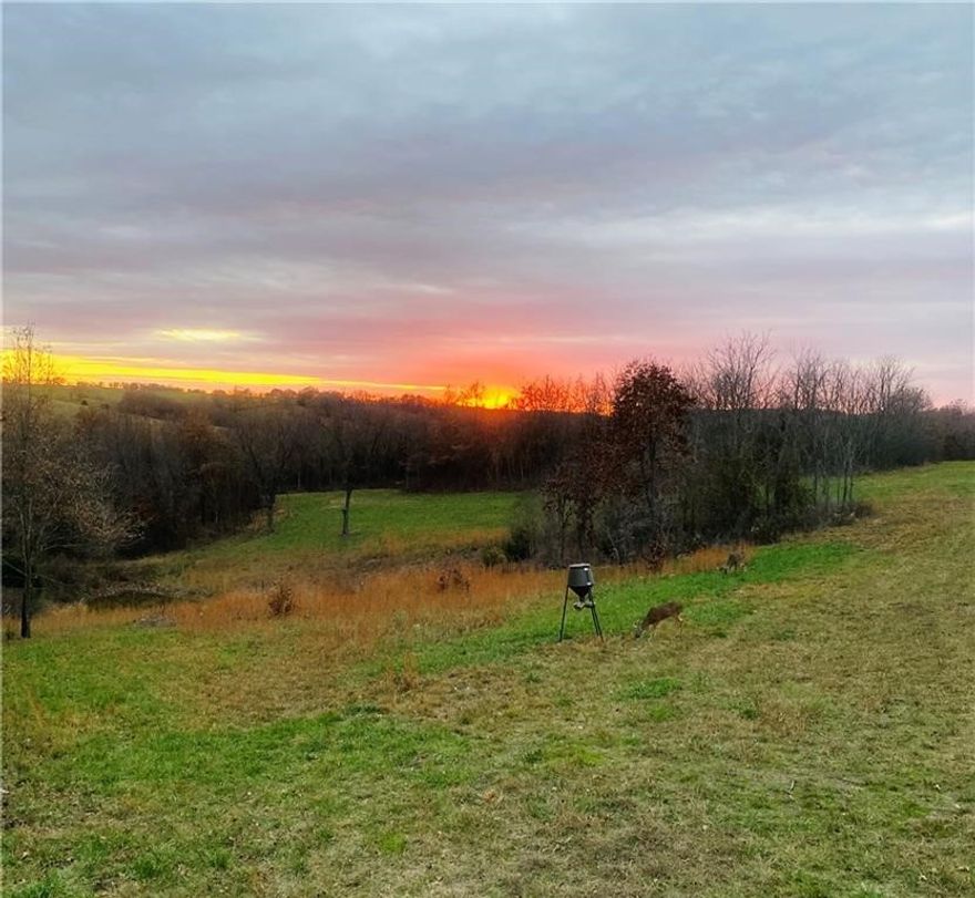 This property is for Deer Hunters, make that serious deer hunters who understand that location means everything. Sometimes smaller acreage properties are located right in the perfect spot, and this is one of those properties. Thick brushy timbered ravines meander through green cattle pastures connecting larger chunks of timber. A creek bottom is located at the bottom of the ravine. A nice food plot and pond with great views overlooking the hills to the south. Let the pictures from this past season tell you the story.