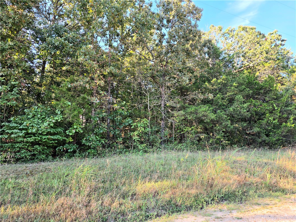 Mobile home friendly with water, sewer and power available at the street! This double lot would be easy to clear and would be a perfect place for your home. Buyer to verify utilities availability.