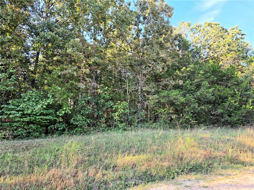 Mobile home friendly with water, sewer and power available at the street!  This double lot would be easy to clear and would be a perfect place for your home. Buyer to verify utilities availability.