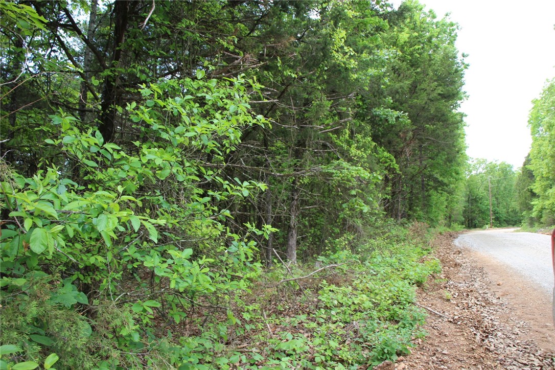 Secluded 3.03 acres that joins the Corp of Engineer Land and Bull Shoals Lake. Only minutes to a public boat launch. Power available. This property lays well just off a well-maintained county road. Minimum restrictions of no mobile homes, home size min. of 800 sq ft and must have septic system.