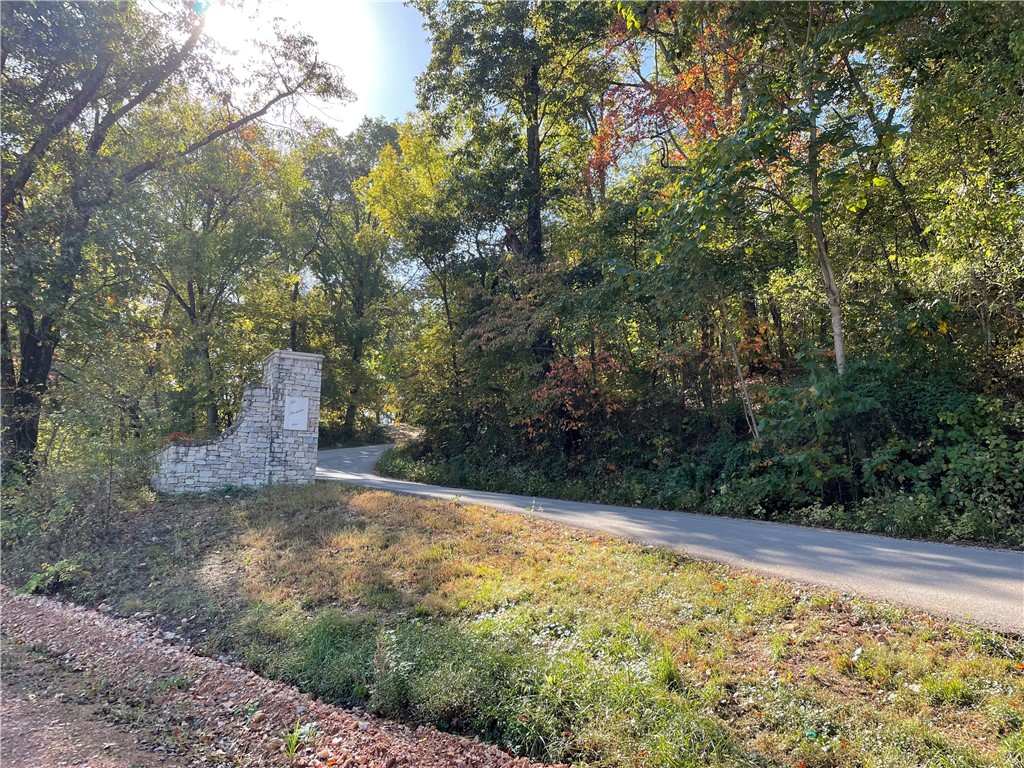 2+ Acre lot in BENTONVILLE SCHOOL DISTRICT!!! Lot 7 is a wooded lot in the secluded, exclusive La Bonne Vie Phase 2 neighborhood with strict protective covenants. Minutes from everything, centrally located in NWA, this neighborhood is a hidden gem. All homes to be Jack Arnold - Architect designs or of similar style and character. Specified builder. Come take a peek!