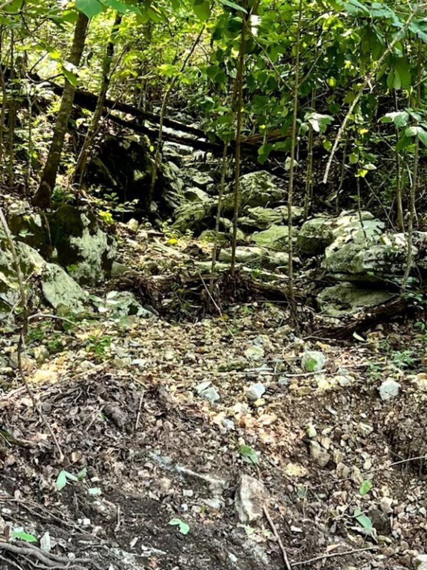 18 wooded acres South of Yellville with unlimited possibilities. Property back up to the Buffalo Park. Previous build site prep. Hunters dream with abundant wildlife. Property was logged approximately 12 years ago, also has income potential. More pictures coming soon