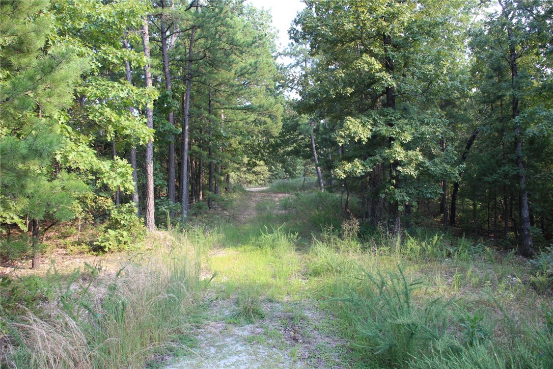 This 5.3-acre property has county road frontage, septic in place, power and city water on the property. Fiber optic is available but not on property. Approximately 11 miles from Yellville, less than 5 miles to the old mining town of Rush and less then 10 miles to Buffalo Point Campground. Bring your RV or build your home and enjoy owning a part of the Ozarks.