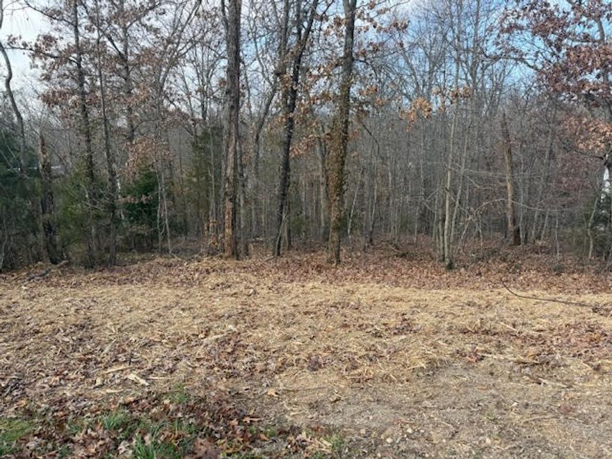 Attention builders! City sewer and a mostly level front make this lot an excellent build site. The back of the property offers peaceful, wooded views—an ideal setting to unwind and enjoy nature. Located in the desirable southeast Bella Vista area with quick access to the bypass and area trails.