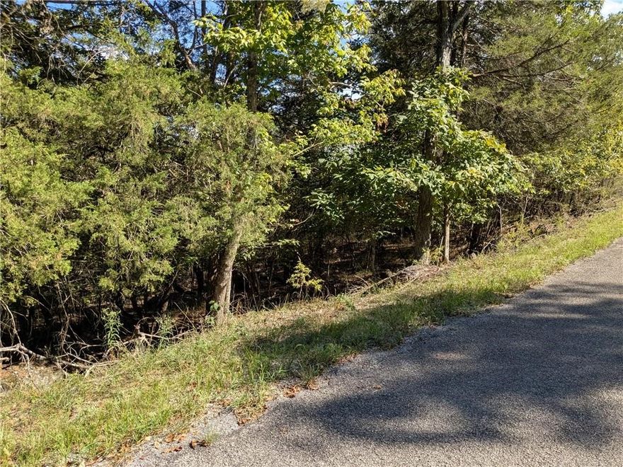 ***Auction will be held on Friday, April 24th at 10:00AM. Location TBD, online bidding available.*** Rare investment opportunity in the beautiful Ozark Mountains! 66 residential lots located in the community of Holiday Island, Arkansas. This is an incredible chance for investors, builders, or developers to acquire a large portfolio of buildable lots in one of Northwest Arkansas' most scenic areas. Holiday Island is known for its stunning natural beauty, proximity to Table Rock Lake, golf courses, lake access, tennis courts, fishing docks and outdoor recreation in general, making it a highly attractive location for future homes, vacation properties, or long-term investment. Buyers will have the chance to secure multiple properties at once, offering tremendous upside potential. Whether you're looking to build, hold for appreciation, or expand your real estate portfolio, this bulk offering provides flexibility and value. Invest in the future of Holiday Island and take advantage of this auction.
