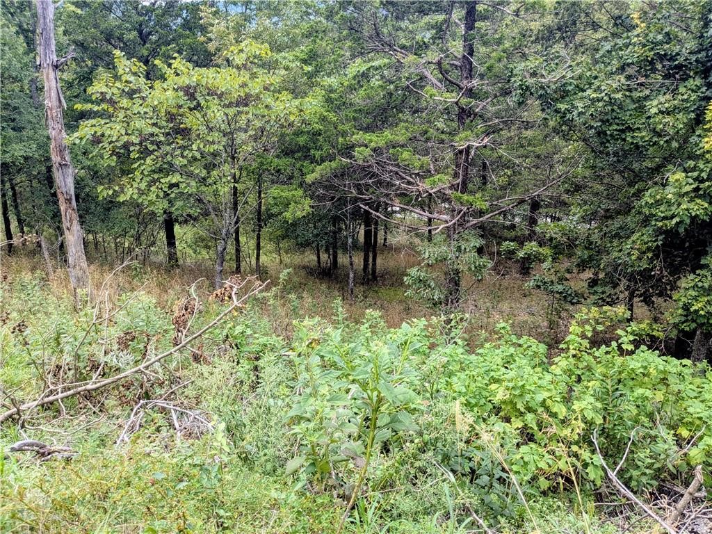 Holiday Island - Land