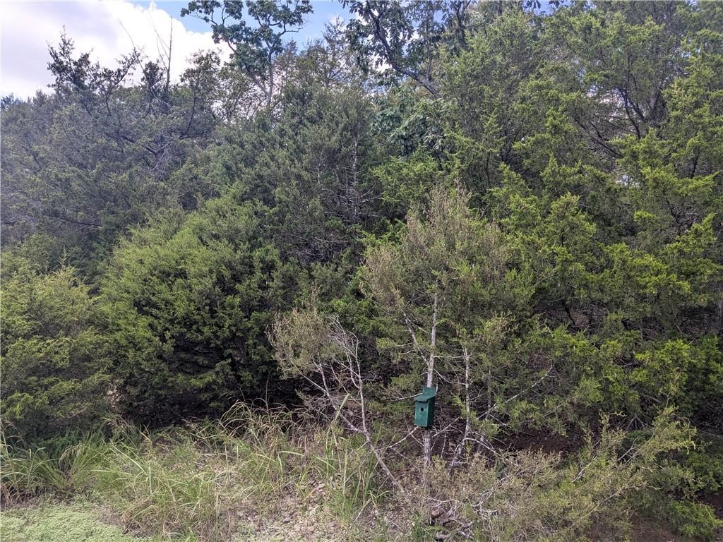 Holiday Island - Land