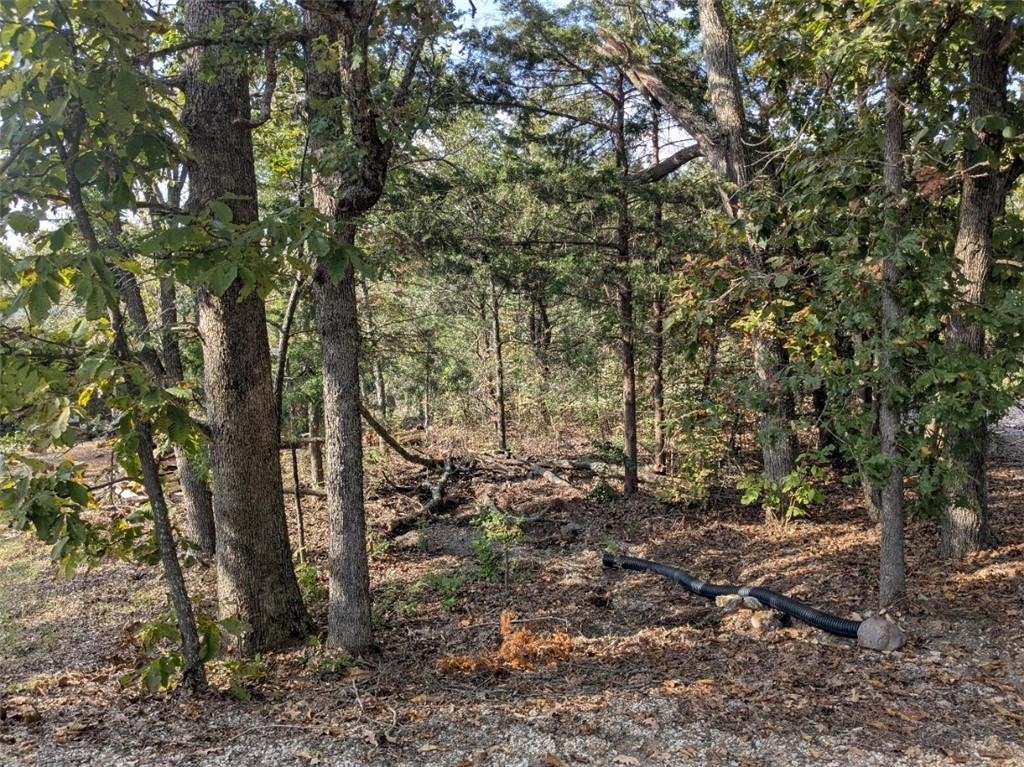 Holiday Island - Land