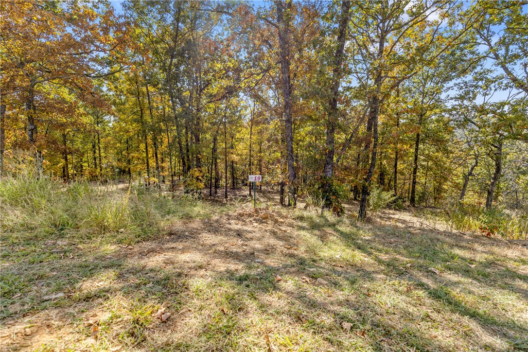 Lot 19 is 0.90 m/l acres and is mostly level, shaded by towering hardwoods, offers views to the West/Southwest and has a secluded feel to it. Round Mountain Estates is a new, master planned, exclusive subdivision located 10 minutes west of Harrison, AR. The following utilities are already on site making the building process much easier for you; natural gas, fiber optic internet, electric, public water, and sewer. Interested in your family seeing the star lights instead of those city lights? RME is what you've been searching for! RME features a 350 +/- acre common area for its residents that includes a stocked fishing pond, Kissing Rock trail, natural springs to explore, Baby Canyon trail, incredible bluff lines to climb, and views for hundreds of miles that will not only take your breath away but will forever be etched in your memory! Neighborhood amenities coming soon.