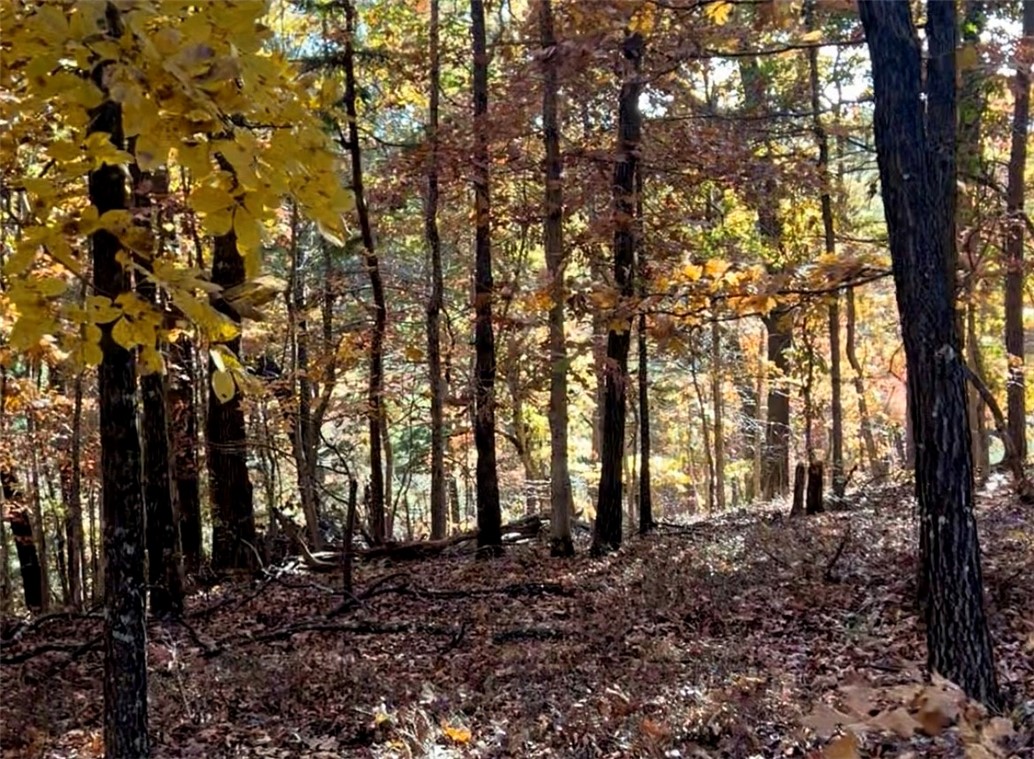 Berkshire Sub Bvv - Land