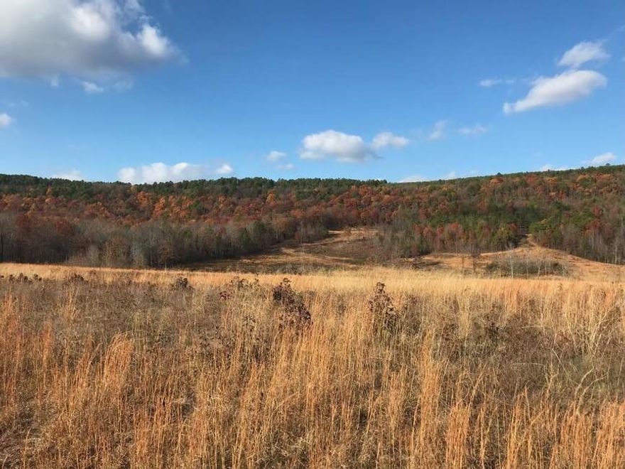 Take advantage of a unique opportunity to own nearly 80 acres of picturesque land, conveniently located on Hwy 7 N! This expansive parcel offers unparalleled privacy and stunning natural beauty, with direct borders to the National Forest on 2 sides. Ideal for building your dream home (a 1/2 mile long driveway and house pad already developed), recreational retreat with abundant wildlife, or investment in land development. Close to Long Pool Rec Area, Piney, Mack's Pines, Dover Lights, and more....this rare gem combines seclusion with accessibility, making it a perfect canvas for your vision. Contact us for more details or to schedule a viewing today!