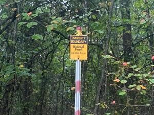 None - Land