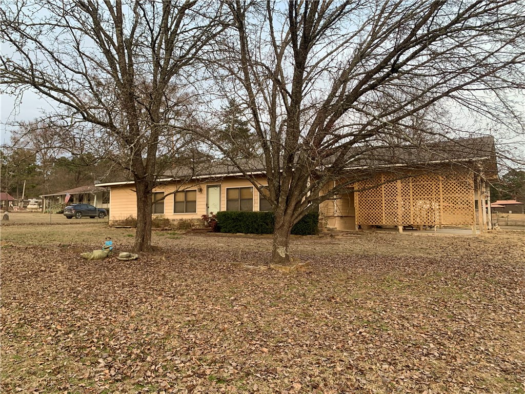 Paris Witt #1 - Residential