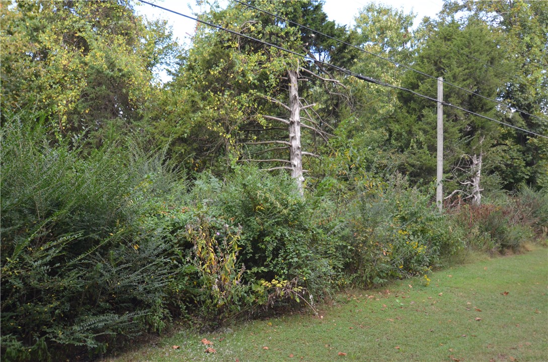 Fayetteville Outlots - Land