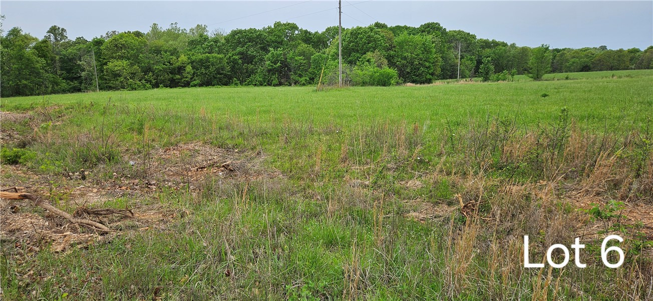 Build your dream home on this peaceful piece of property. Rural water is available and septic is needed.
Only 9 minutes from Walmart Supercenter and close to other shopping. Siloam Springs Schools.