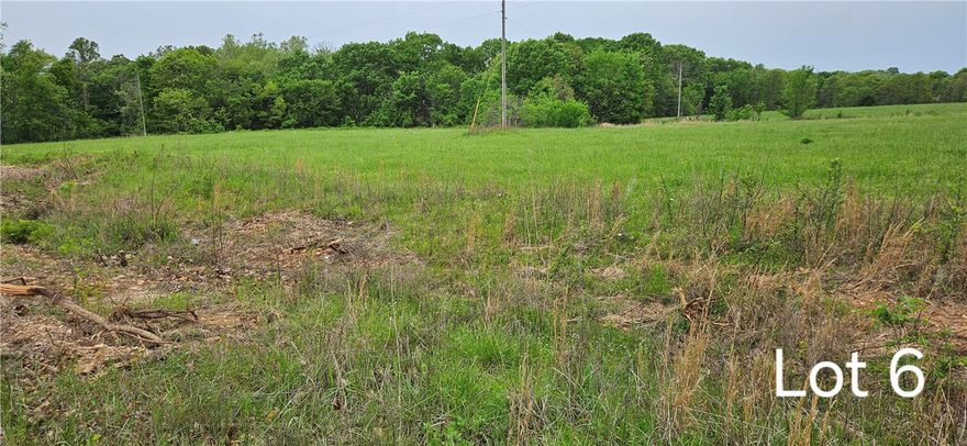 Build your dream home on this peaceful piece of property.  Well and septic are needed. 
Only 9 minutes from Walmart Supercenter and close to other shopping.  Siloam Springs Schools.