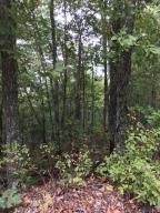 Imagine relaxing on your deck with this gorgeous lake view! This spot is perfect for a get-away vacation cabin or home. It's walking distance from the Cricket Creek Recreation Area on Table Rock Lake. Enjoy boating, swimming, waters sports, a marina and stunning views.