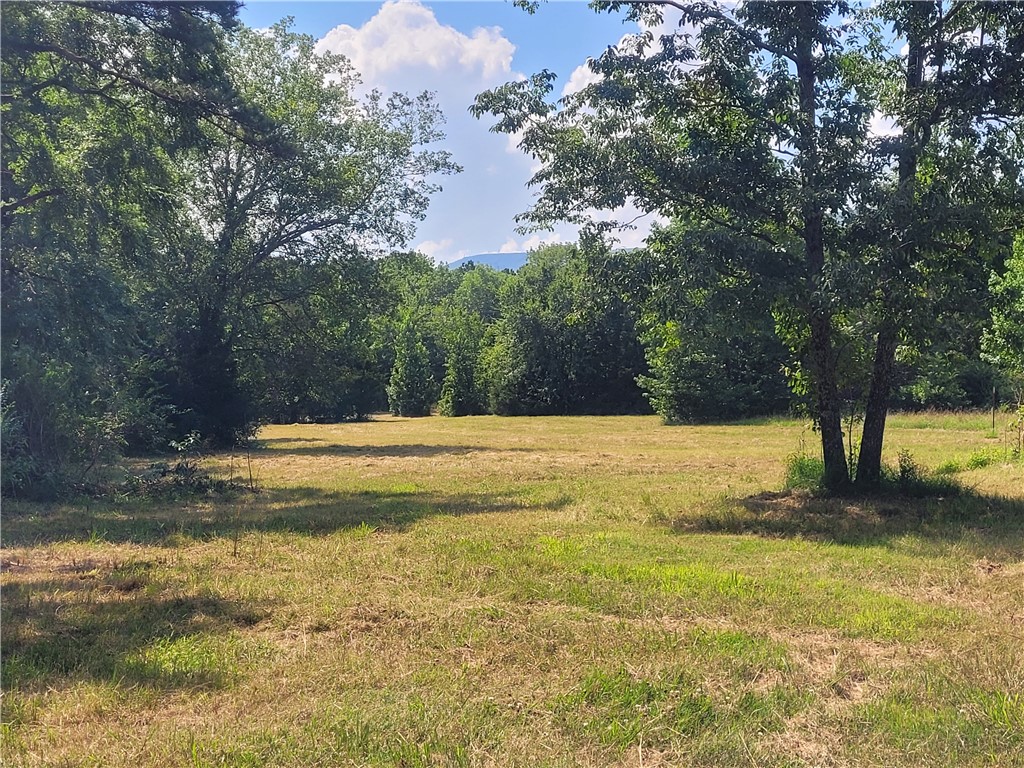 Come explore this property bordering the Ozark National Forest. This property offers endless opportunities for outdoor living. Approximately 6.8 acres are wooded, providing privacy, natural beauty and excellent habitat for wildlife. Whether you're looking for space for animals, a peaceful retreat, or a prime hunting spot, this property has it all- including established trails winding through the timber and a wet-weather creek along the west side of the property adds to the natural appeal and wildlife activity . Back of the property, where it meets the National Forest, is ideal for hunting. Whether you're setting up a hunting camp or looking for a private getaway in nature, this spot delivers. Plus, you're just about 9 miles from Blue Mountain Lake, perfect for fishing, boating, and weekend getaways.