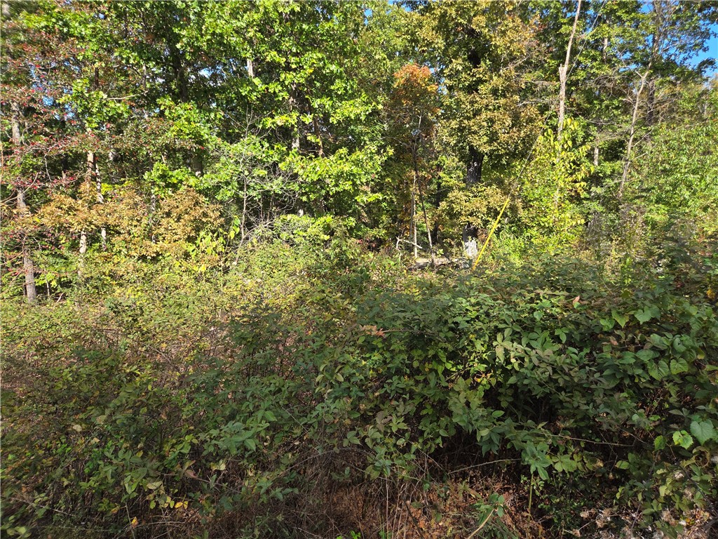 Sussex Sub Bvv - Land