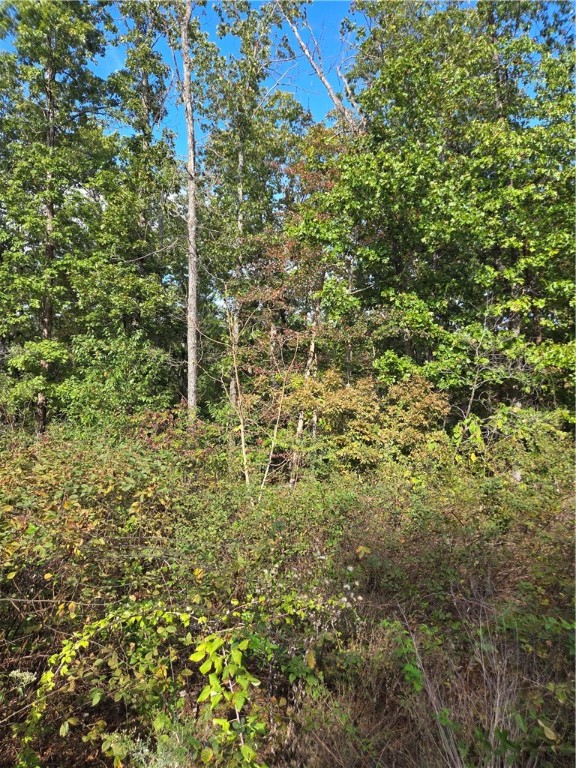 Sussex Sub Bvv - Land