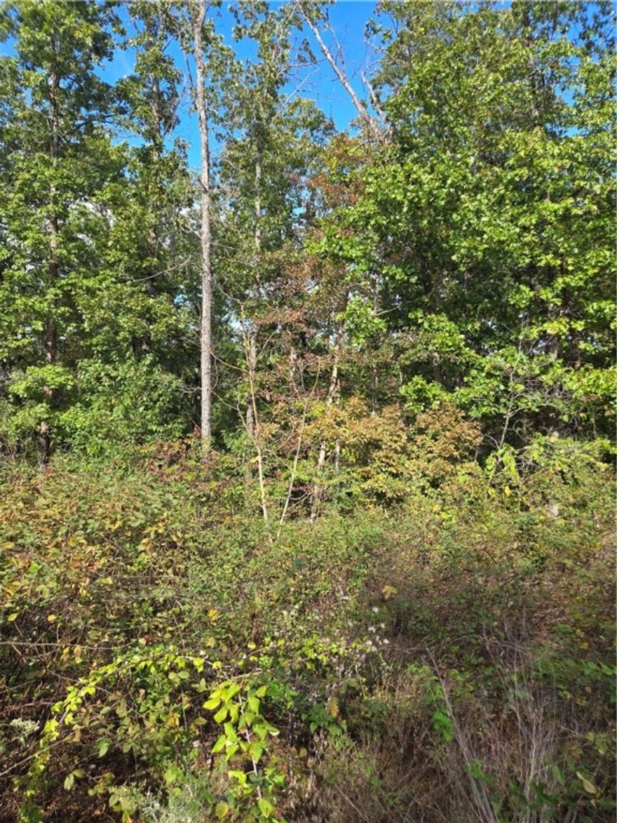 Trail front Bella Vista lot for sale! With the Ledges trail in your backyard, the Back 40, Pinyon Crk, Sbat, Summit School & more trails close by. This great lot is also near Dogwood Golf Course, Brittany Golf, Lake Brittany & Lake Ann. Who could ask for a more outdoorsy location! The slope is slightly downward towards the trail, great for Bella Vista. Don't pass up on this great lot.