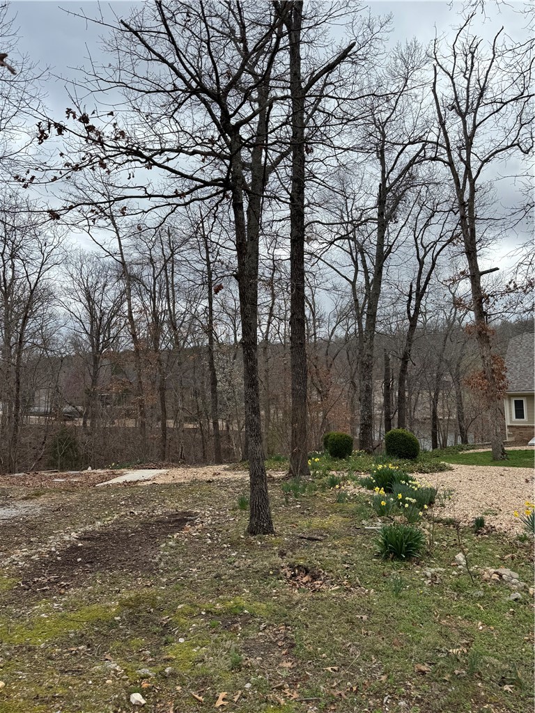 Cheviot Sub Bvv - Land