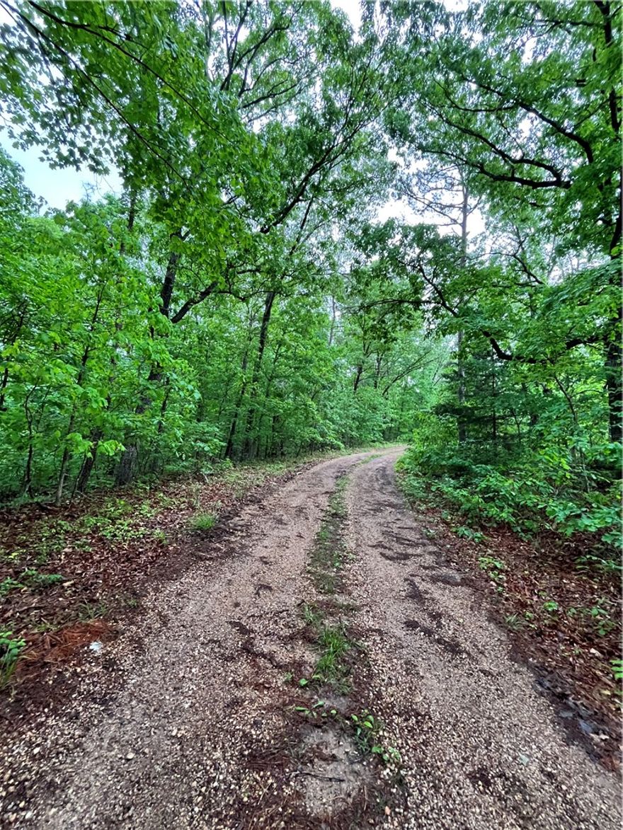 Beautiful 0.26-acre lot located in a quiet and desirable area of Bella Vista, offering the perfect blend of privacy and convenience. Water is available at the street, making this a great opportunity for a future build or investment. Surrounded by natural beauty and peaceful wooded scenery, this property provides a serene setting while still being just minutes from nearby amenities, trails, and everyday essentials. Bella Vista is known for its strong demand and growing market, with continued development and limited buildable lots adding to long-term value . Whether you're looking to build now or hold for the future, this lot offers excellent potential in a highly sought-after Northwest Arkansas location.