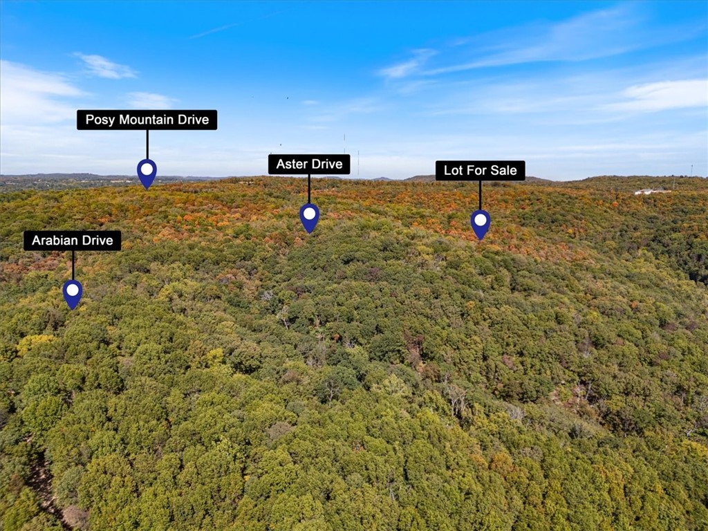 Posy Mountain Ranch Unit 7 Rurban - Land