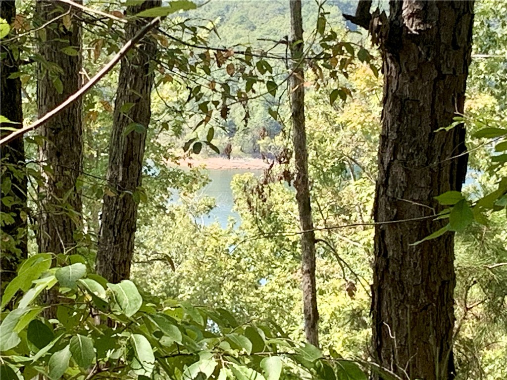 Come build your dream home on this stunning 4.05 acre corner lot nestled on the end of a deep water cove in the heart of Beaver Lake. Wake up every morning to the natures singing, birds chirping, deer running and squirrels scurrying. Mature trees everywhere and a great lakeview. Several build spots for the house of your dreams! This would make a great place for a traditional lake home with a wraparound porch or a more modern barndominium. Super easy access to a deep-water cove and less than a few football fields from Ventris Boat Ramp and Ventris Park. Private, but accessible to major cities, you’ll enjoy the peace and privacy you’ve always wanted. Electric already at the street, but you will need a well and septic. The property comes with covenants to protect your investment, but without the hassle of strict rules. Build your ultimate lake home here and enjoy the lake lifestyle your family always talks about doing! Plenty of room for the shop and boat storage as well!