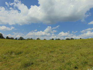 Improvement Only - Land