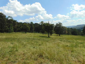 Improvement Only - Land