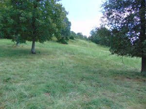 Improvement Only - Land