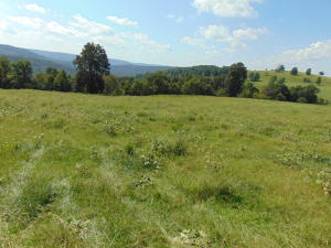 Improvement Only - Land