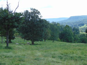 Improvement Only - Land