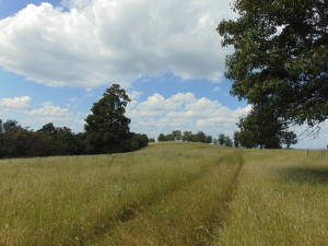 Improvement Only - Land