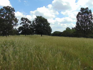 Improvement Only - Land