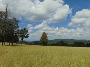 Improvement Only - Land