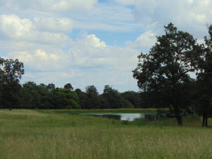 Improvement Only - Land