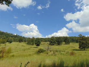 Improvement Only - Land