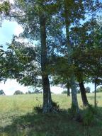 Improvement Only - Land