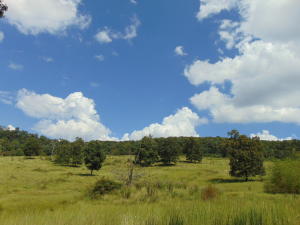 Improvement Only - Land