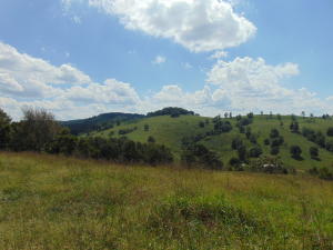 Improvement Only - Land