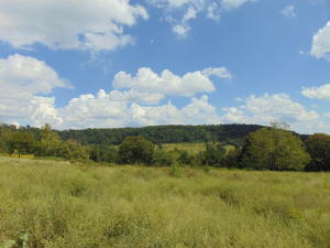 Improvement Only - Land