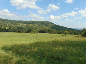 Improvement Only - Land