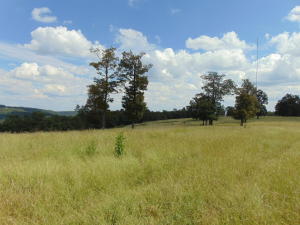 Improvement Only - Land