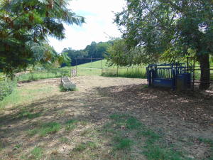 Improvement Only - Land