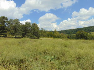 Improvement Only - Land