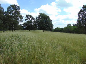 Improvement Only - Land